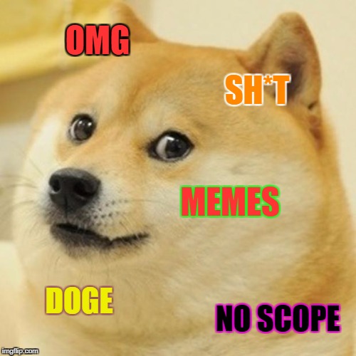 Doge | OMG; SH*T; MEMES; DOGE; NO SCOPE | image tagged in memes,doge | made w/ Imgflip meme maker