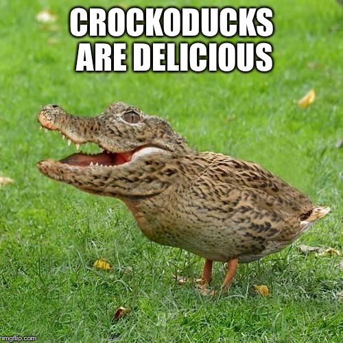 Crocoduck | CROCKODUCKS ARE DELICIOUS | image tagged in crocoduck | made w/ Imgflip meme maker