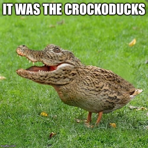 Crocoduck | IT WAS THE CROCKODUCKS | image tagged in crocoduck | made w/ Imgflip meme maker