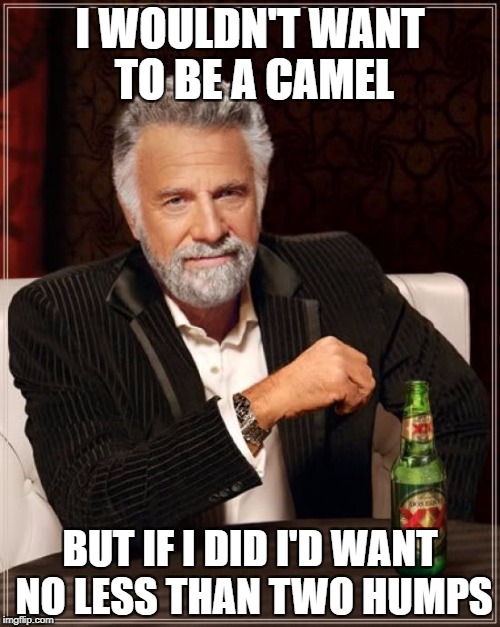 The Most Interesting Man In The World Meme | I WOULDN'T WANT TO BE A CAMEL; BUT IF I DID I'D WANT NO LESS THAN TWO HUMPS | image tagged in memes,the most interesting man in the world | made w/ Imgflip meme maker