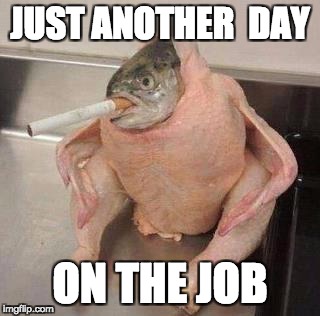 fishy situation | JUST ANOTHER  DAY; ON THE JOB | image tagged in fish,chicken,smoking,food | made w/ Imgflip meme maker