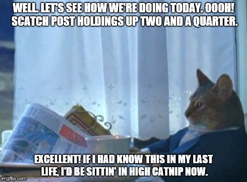 Stock Market Cats | WELL. LET'S SEE HOW WE'RE DOING TODAY. OOOH! SCATCH POST HOLDINGS UP TWO AND A QUARTER. EXCELLENT! IF I HAD KNOW THIS IN MY LAST LIFE, I'D BE SITTIN' IN HIGH CATNIP NOW. | image tagged in smart cat,cats,stock market | made w/ Imgflip meme maker
