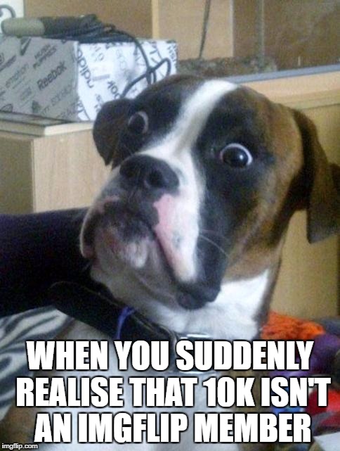 Suprised Boxer | WHEN YOU SUDDENLY REALISE THAT 10K ISN'T AN IMGFLIP MEMBER | image tagged in suprised boxer | made w/ Imgflip meme maker