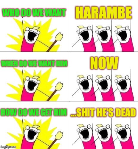 What Do We Want 3 | WHO DO WE WANT; HARAMBE; NOW; WHEN DO WE WANT HIM; HOW DO WE GET HIM; ...SHIT HE'S DEAD | image tagged in memes,what do we want 3 | made w/ Imgflip meme maker