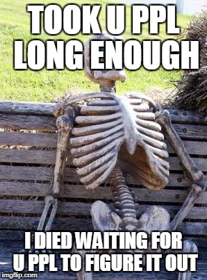 TOOK U PPL LONG ENOUGH I DIED WAITING FOR U PPL TO FIGURE IT OUT | image tagged in memes,waiting skeleton | made w/ Imgflip meme maker