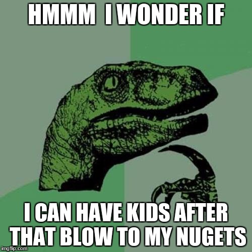 Philosoraptor | HMMM  I WONDER IF; I CAN HAVE KIDS AFTER THAT BLOW TO MY NUGETS | image tagged in memes,philosoraptor | made w/ Imgflip meme maker