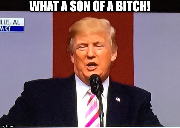 Trumpith | WHAT A SON OF A B**CH! | image tagged in trumpith | made w/ Imgflip meme maker