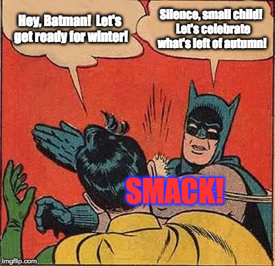 Enjoying Autumn (or Fall) | Hey, Batman!  Let's get ready for winter! Silence, small child!  Let's celebrate what's left of autumn! SMACK! | image tagged in memes,batman slapping robin | made w/ Imgflip meme maker