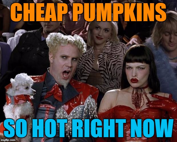 You can always practice carving for next year :) | CHEAP PUMPKINS; SO HOT RIGHT NOW | image tagged in memes,mugatu so hot right now,pumpkins,halloween,shopping | made w/ Imgflip meme maker