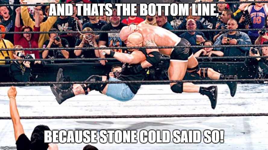 AND THATS THE BOTTOM LINE, BECAUSE STONE COLD SAID SO! | made w/ Imgflip meme maker