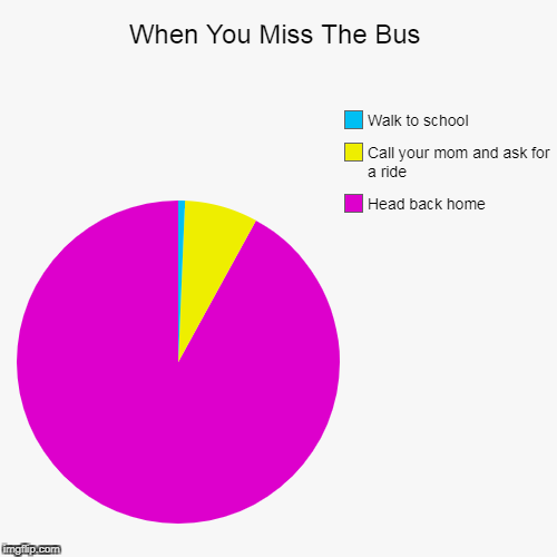 Did you miss the bus? | image tagged in funny,pie charts,school,bus | made w/ Imgflip chart maker