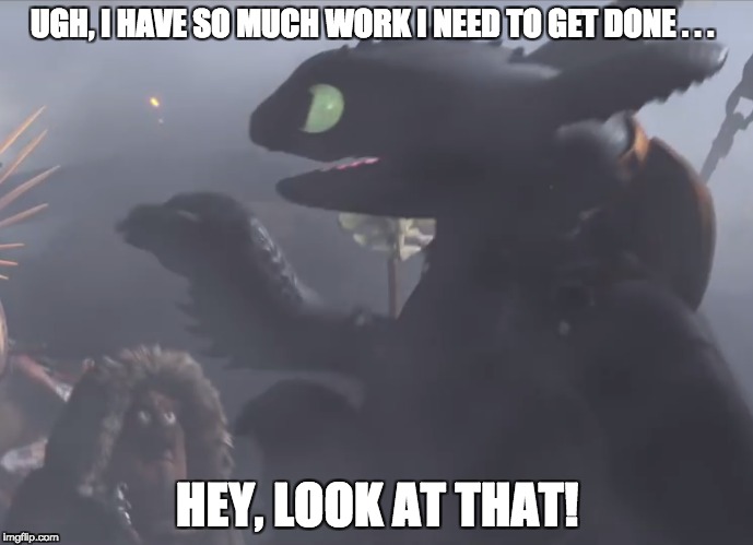 UGH, I HAVE SO MUCH WORK I NEED TO GET DONE . . . HEY, LOOK AT THAT! | image tagged in how to train your dragon,toothless | made w/ Imgflip meme maker