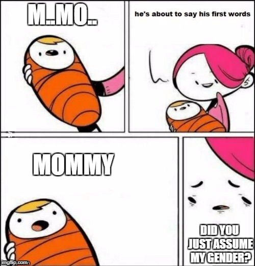 baby first words | M..MO.. MOMMY; DID YOU JUST ASSUME MY GENDER? | image tagged in baby first words | made w/ Imgflip meme maker