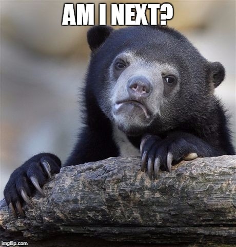 Confession Bear Meme | AM I NEXT? | image tagged in memes,confession bear | made w/ Imgflip meme maker
