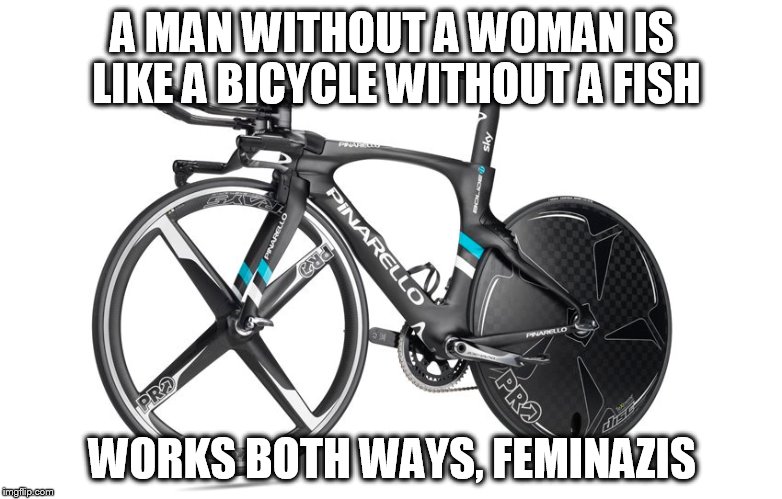 A man without a woman | A MAN WITHOUT A WOMAN IS LIKE A BICYCLE WITHOUT A FISH; WORKS BOTH WAYS, FEMINAZIS | image tagged in mgtow | made w/ Imgflip meme maker