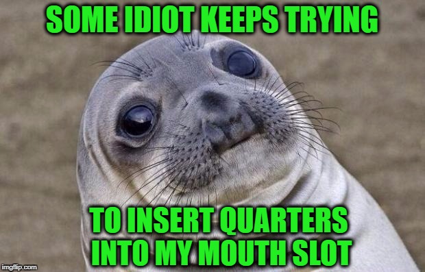 Awkward Moment Sealion Meme | SOME IDIOT KEEPS TRYING; TO INSERT QUARTERS INTO MY MOUTH SLOT | image tagged in memes,awkward moment sealion | made w/ Imgflip meme maker
