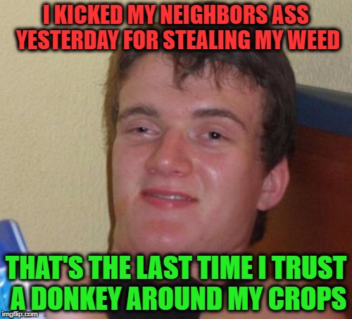 What An Ass | I KICKED MY NEIGHBORS ASS YESTERDAY FOR STEALING MY WEED; THAT'S THE LAST TIME I TRUST A DONKEY AROUND MY CROPS | image tagged in memes,10 guy | made w/ Imgflip meme maker