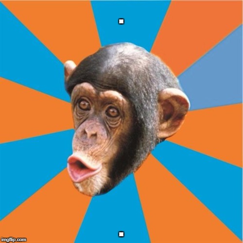 Monkey | . . | image tagged in monkey | made w/ Imgflip meme maker