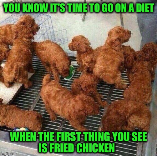 I'm getting hungry... | YOU KNOW IT'S TIME TO GO ON A DIET; WHEN THE FIRST THING YOU SEE; IS FRIED CHICKEN | image tagged in fried chicken,diet,puppies | made w/ Imgflip meme maker