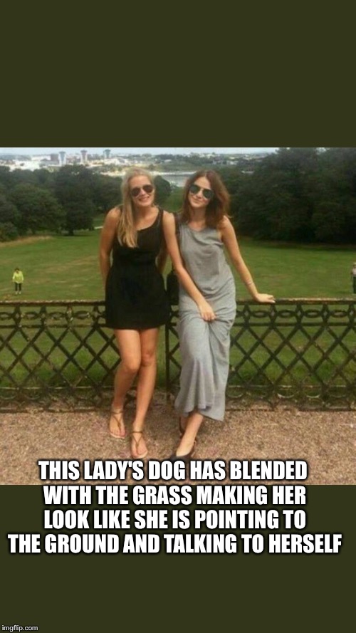 I love when the eyes deceive us  | THIS LADY'S DOG HAS BLENDED WITH THE GRASS MAKING HER LOOK LIKE SHE IS POINTING TO THE GROUND AND TALKING TO HERSELF | image tagged in memes,deception,dog,illusions | made w/ Imgflip meme maker