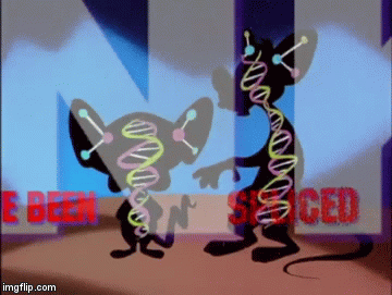 pandbrain | image tagged in gifs | made w/ Imgflip video-to-gif maker