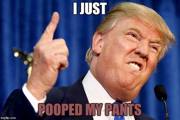 Donald Trump | I JUST; POOPED MY PANTS | image tagged in donald trump | made w/ Imgflip meme maker