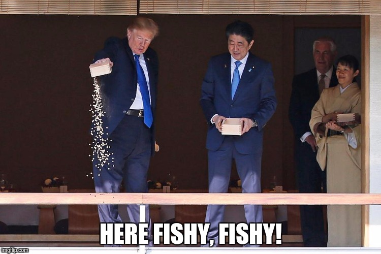 Here fishy, fishy! | HERE FISHY, FISHY! | image tagged in trump,abe,koi | made w/ Imgflip meme maker