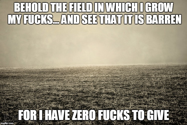 BEHOLD THE FIELD IN WHICH I GROW MY FUCKS... AND SEE THAT IT IS BARREN; FOR I HAVE ZERO FUCKS TO GIVE | made w/ Imgflip meme maker