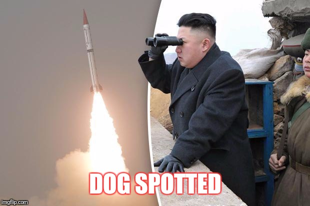 DOG SPOTTED | made w/ Imgflip meme maker