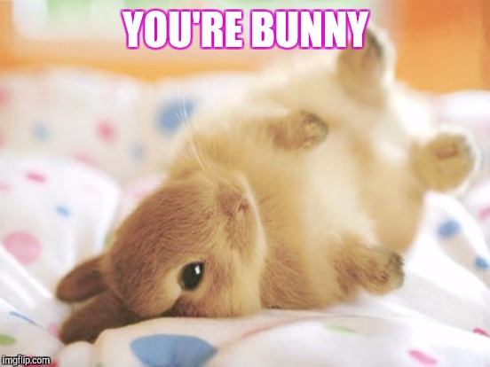 YOU'RE BUNNY | made w/ Imgflip meme maker