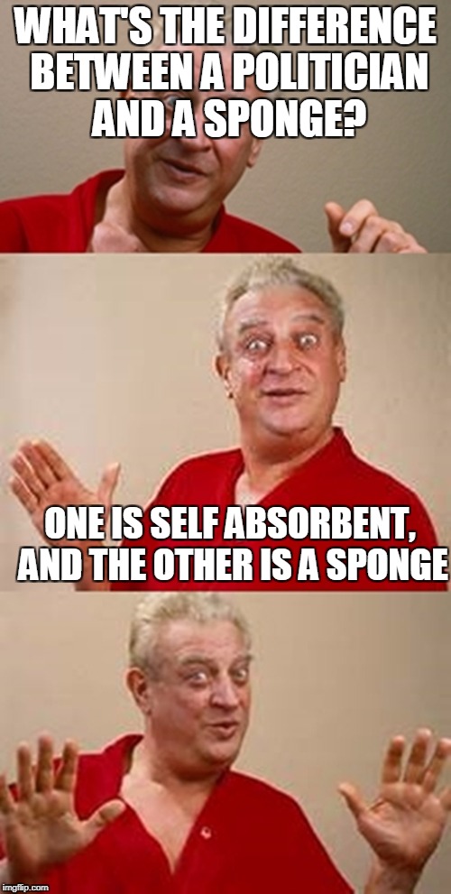 bad pun Dangerfield  | WHAT'S THE DIFFERENCE BETWEEN A POLITICIAN AND A SPONGE? ONE IS SELF ABSORBENT, AND THE OTHER IS A SPONGE | image tagged in bad pun dangerfield | made w/ Imgflip meme maker
