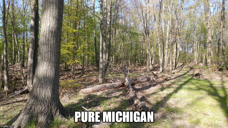 PURE MICHIGAN | image tagged in wwwfunctionalrusticcom | made w/ Imgflip meme maker