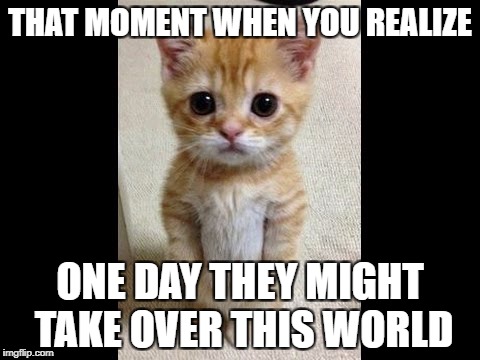 world domination meme | THAT MOMENT WHEN YOU REALIZE; ONE DAY THEY MIGHT TAKE OVER THIS WORLD | image tagged in cats,world domination | made w/ Imgflip meme maker