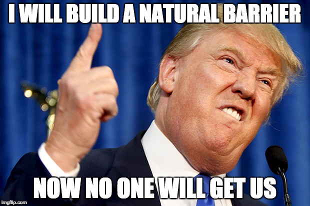 Donald Trump | I WILL BUILD A NATURAL BARRIER; NOW NO ONE WILL GET US | image tagged in donald trump | made w/ Imgflip meme maker