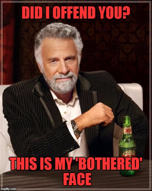 The Most Interesting Man In The World Meme | DID I OFFEND YOU? THIS IS MY 'BOTHERED' FACE | image tagged in memes,the most interesting man in the world | made w/ Imgflip meme maker