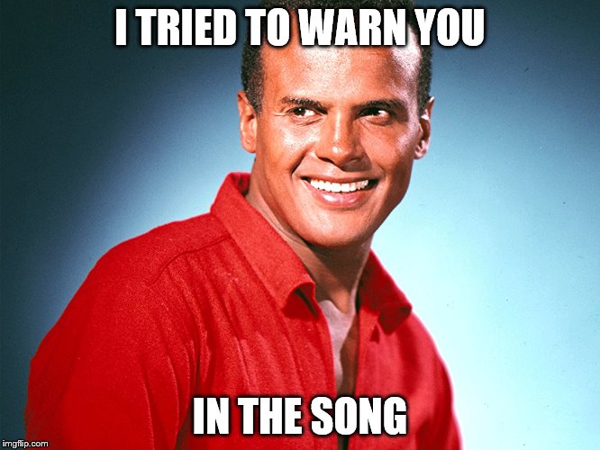 I TRIED TO WARN YOU IN THE SONG | made w/ Imgflip meme maker