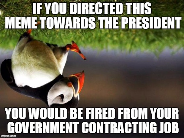 You probably don't even have to be riding a bike | IF YOU DIRECTED THIS MEME TOWARDS THE PRESIDENT; YOU WOULD BE FIRED FROM YOUR GOVERNMENT CONTRACTING JOB | image tagged in memes,unpopular opinion puffin,president trump,julie briskman,middle finger,dumbass | made w/ Imgflip meme maker
