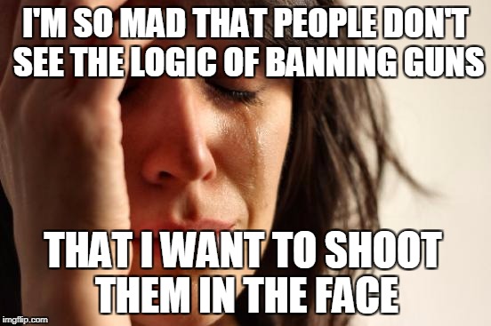 First World Problems Meme | I'M SO MAD THAT PEOPLE DON'T SEE THE LOGIC OF BANNING GUNS THAT I WANT TO SHOOT THEM IN THE FACE | image tagged in memes,first world problems | made w/ Imgflip meme maker