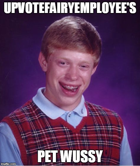 Bad Luck Brian Meme | UPVOTEFAIRYEMPLOYEE'S PET WUSSY | image tagged in memes,bad luck brian | made w/ Imgflip meme maker