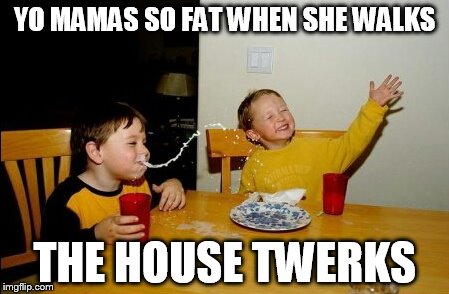 Yo Mamas So Fat Meme | YO MAMAS SO FAT WHEN SHE WALKS; THE HOUSE TWERKS | image tagged in memes,yo mamas so fat | made w/ Imgflip meme maker