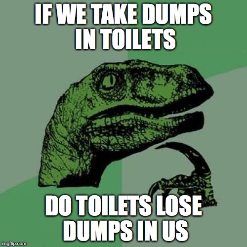Philosoraptor | IF WE TAKE DUMPS IN TOILETS; DO TOILETS LOSE DUMPS IN US | image tagged in memes,philosoraptor | made w/ Imgflip meme maker