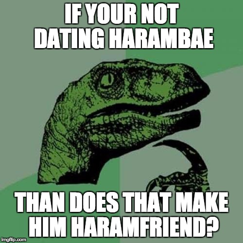 Philosoraptor | IF YOUR NOT DATING HARAMBAE; THAN DOES THAT MAKE HIM HARAMFRIEND? | image tagged in memes,philosoraptor | made w/ Imgflip meme maker