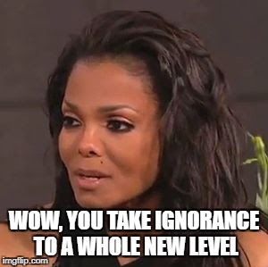 Janet Detests Ignorance | WOW, YOU TAKE IGNORANCE TO A WHOLE NEW LEVEL | image tagged in janet jackson,ignorance,a whole new level,you ain't right,special kind of stupid | made w/ Imgflip meme maker