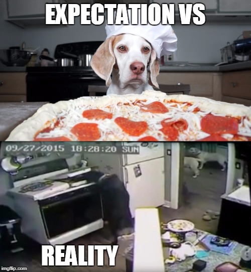 EXPECTATION VS REALITY | made w/ Imgflip meme maker