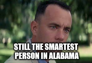 Forest G | STILL THE SMARTEST PERSON IN ALABAMA | image tagged in forest gump,alabama | made w/ Imgflip meme maker