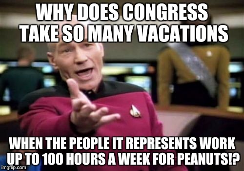 Picard Wtf Meme | WHY DOES CONGRESS TAKE SO MANY VACATIONS; WHEN THE PEOPLE IT REPRESENTS WORK UP TO 100 HOURS A WEEK FOR PEANUTS!? | image tagged in memes,picard wtf | made w/ Imgflip meme maker