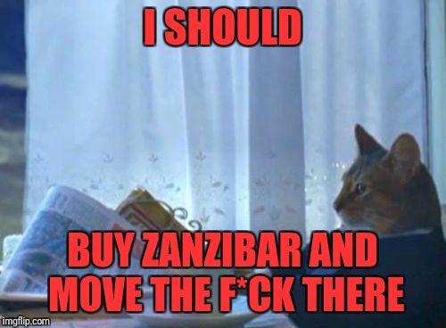 I Should Buy A Boat Cat Meme | I SHOULD; BUY ZANZIBAR AND MOVE THE F*CK THERE | image tagged in memes,i should buy a boat cat | made w/ Imgflip meme maker