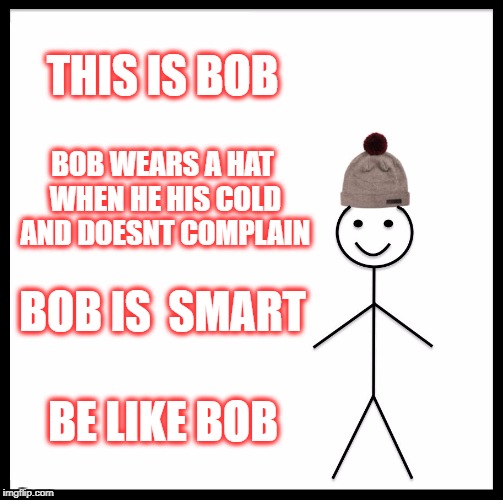 Be Like Bill Meme | THIS IS BOB; BOB WEARS A HAT WHEN HE HIS COLD AND DOESNT COMPLAIN; BOB IS  SMART; BE LIKE BOB | image tagged in memes,be like bill | made w/ Imgflip meme maker