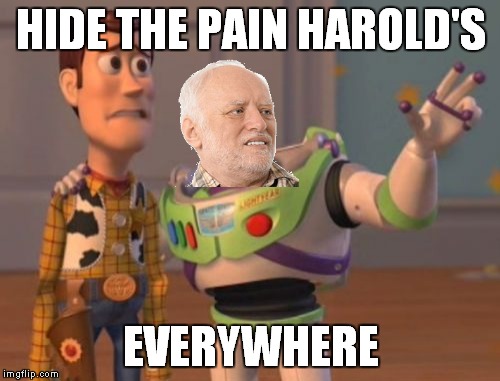 X, X Everywhere Meme | HIDE THE PAIN HAROLD'S EVERYWHERE | image tagged in memes,x x everywhere | made w/ Imgflip meme maker