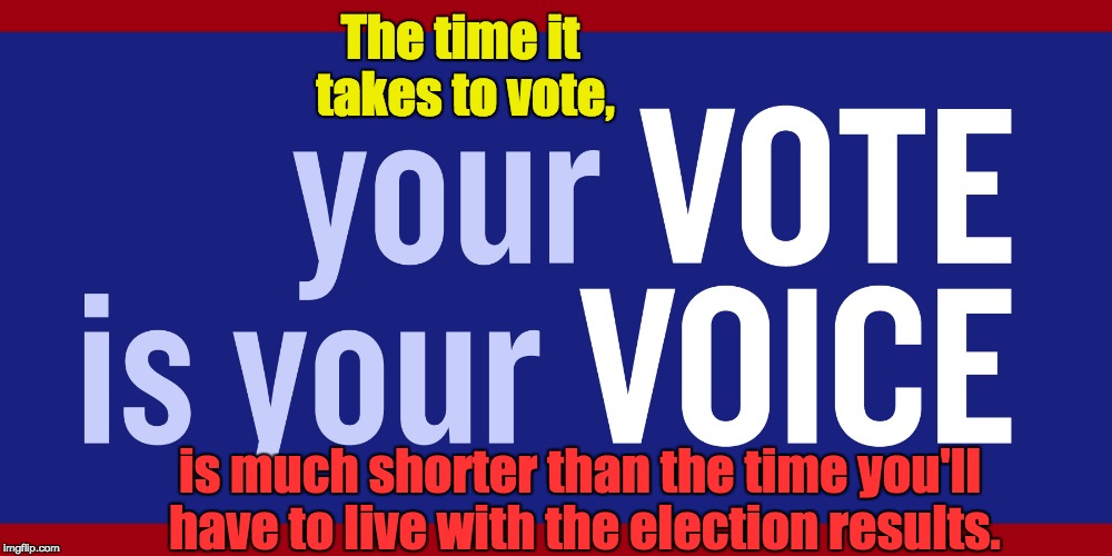 Vote | The time it takes to vote, is much shorter than the time you'll have to live with the election results. | image tagged in voting,elections,participatedemocracy | made w/ Imgflip meme maker